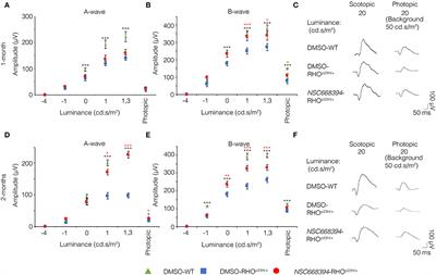 Induction of Autophagy Promotes Clearance of RHOP23H Aggregates and Protects From Retinal Degeneration